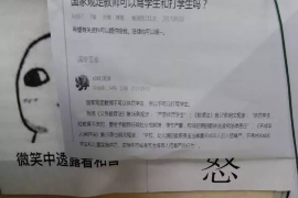 平凉平凉的要账公司在催收过程中的策略和技巧有哪些？